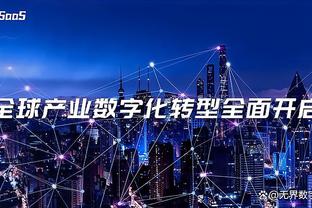 辽宁沈阳城市征集新LOGO，要求突出虎元素并对标国际知名俱乐部